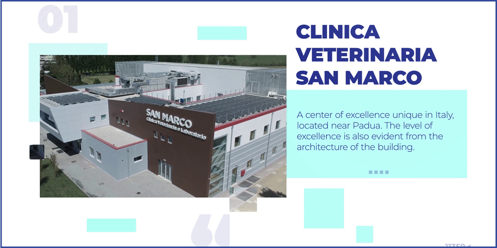 Veterinary Clinic San Marco
